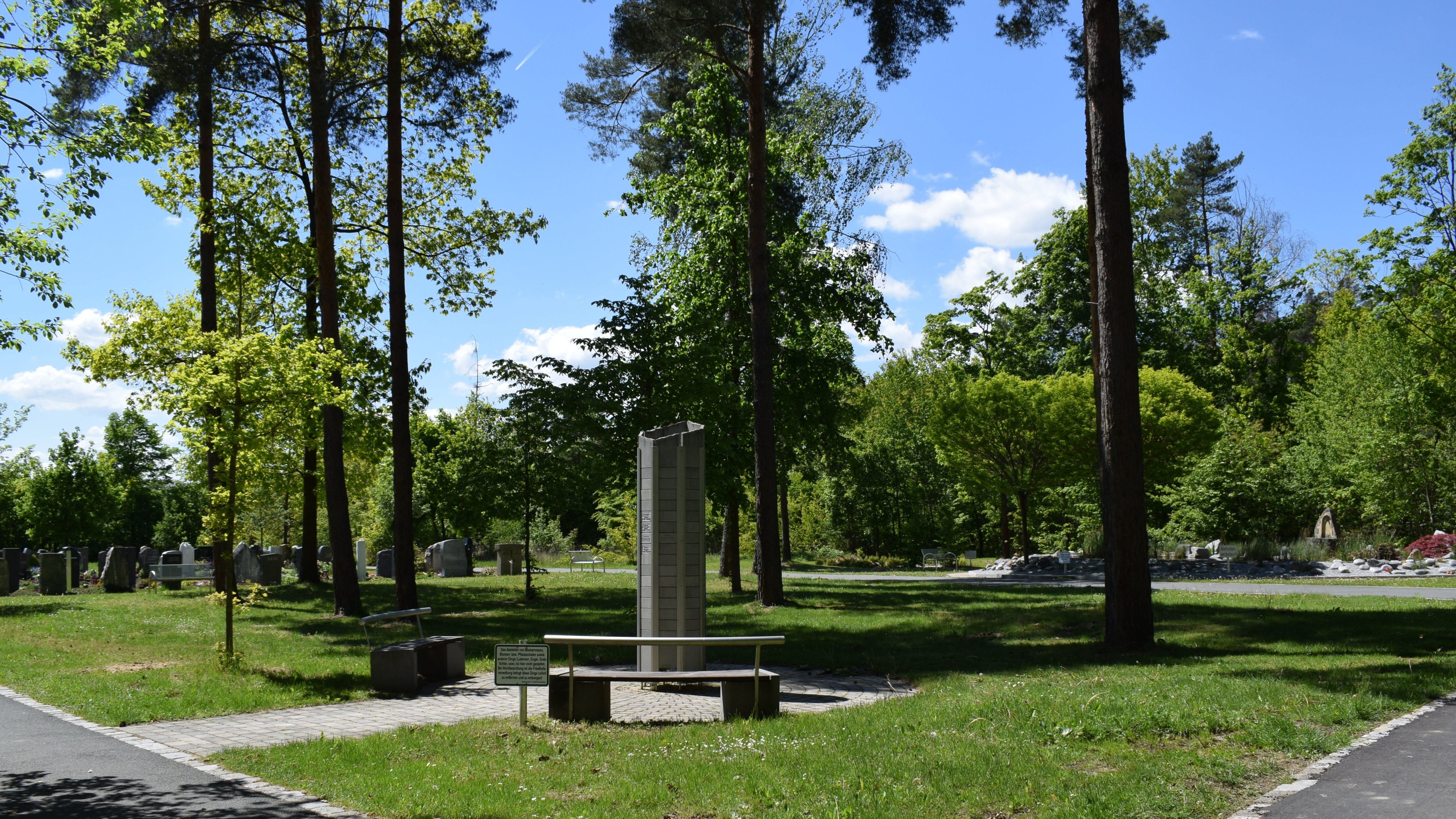 Das Bild zeigt das Baumbestattungsfeld auf dem Waldfriedhof.